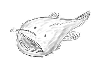 angler